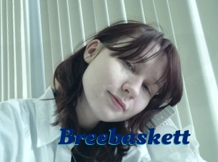 Breebaskett
