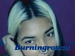 Burningrose20