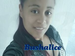 Bushalice