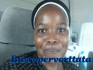 Bustyperverttatas