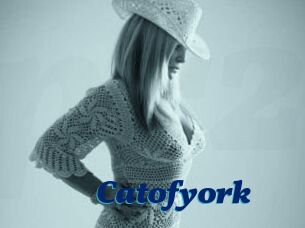Catofyork