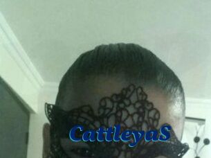 Cattleya_S