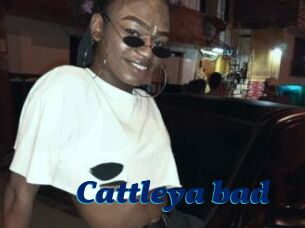 Cattleya_bad