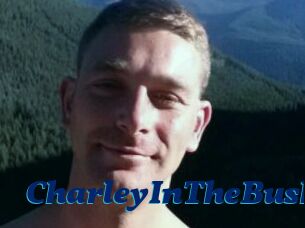 CharleyInTheBush