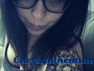 Chrys4nthemum