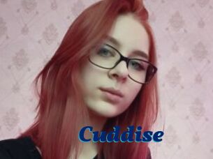 Cuddise