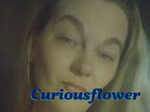 Curiousflower