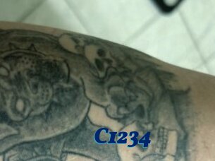 C1234