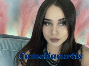 Cameliacurtis