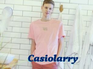 Casiolarry