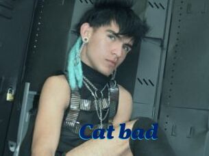 Cat_bad