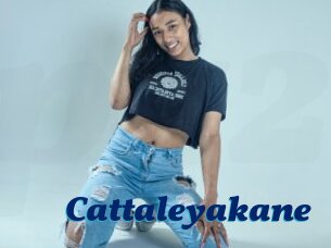 Cattaleyakane