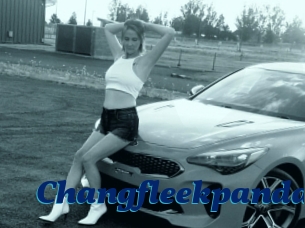 Changfleekpanda