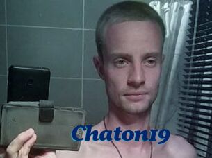 Chaton19