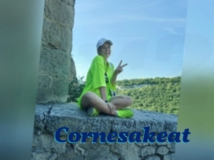 Cornesakeat