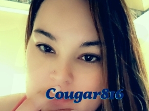 Cougar816