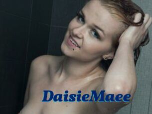 DaisieMaee