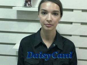 DaisyCani