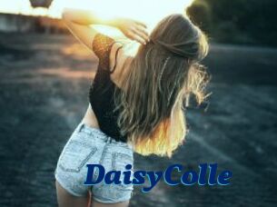 DaisyColle