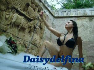 Daisydelfina