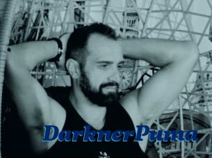 DarknerPuma