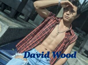 David_Wood