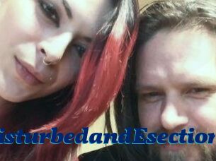 DeziDisturbedandEsection