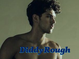 DiddyRough