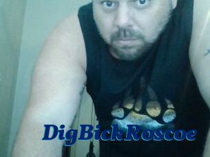 DigBickRoscoe