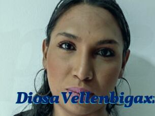 DiosaVellenbigaxx