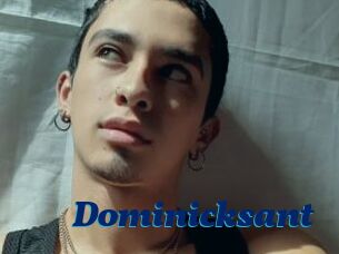 Dominicksant