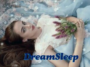 DreamSleep