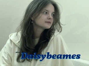 Daisybeames