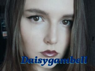 Daisygambell
