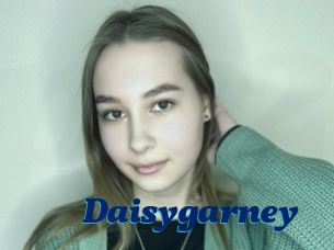 Daisygarney