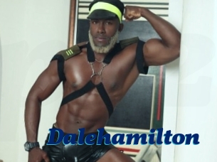 Dalehamilton