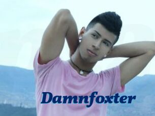 Damnfoxter