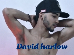 David_harlow