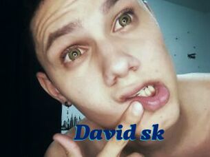 David_sk
