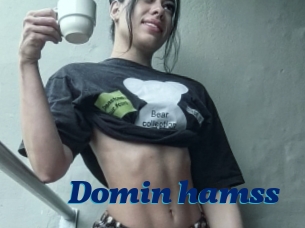 Domin_hamss