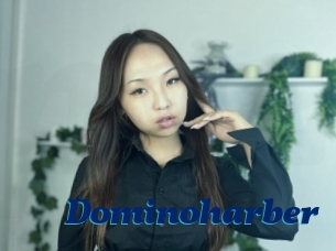 Dominoharber