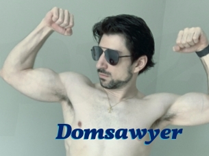 Domsawyer