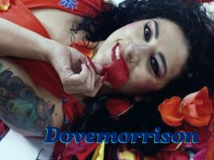 Dovemorrison