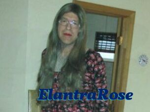 Elantra_Rose