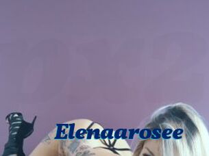 Elenaarosee