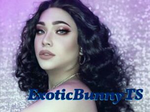 ExoticBunnyTS