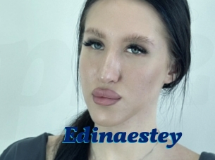 Edinaestey