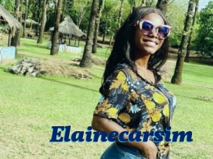 Elainecarsim