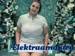 Elektraamotaro