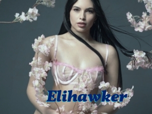 Elihawker